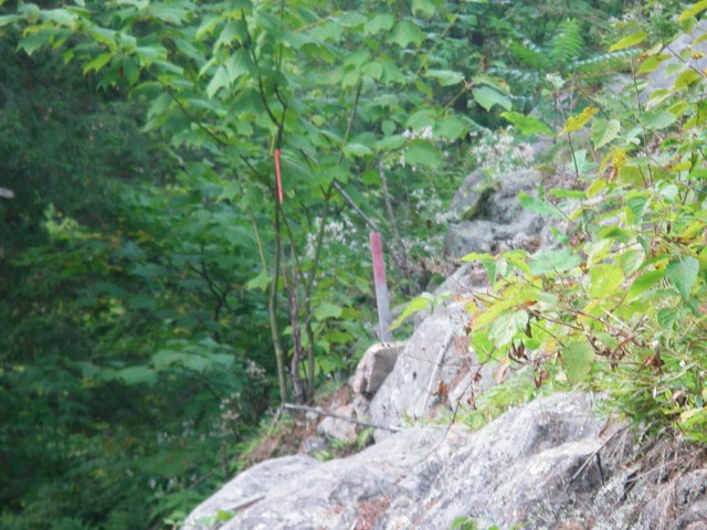 IMGP3570.JPG