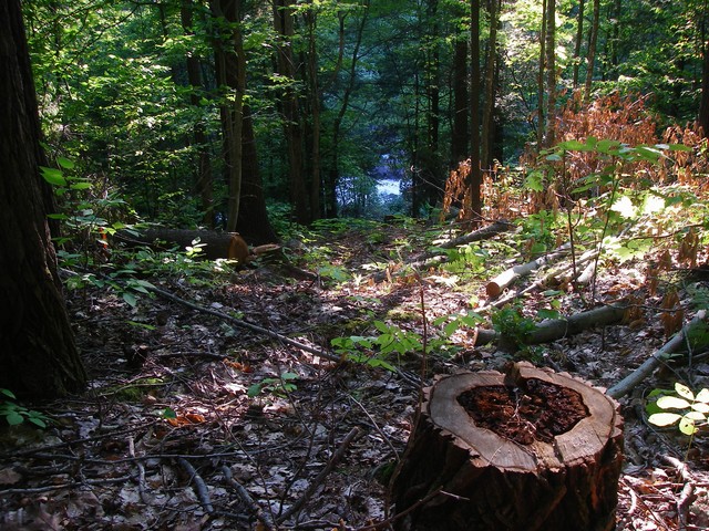 IMGP3577.JPG