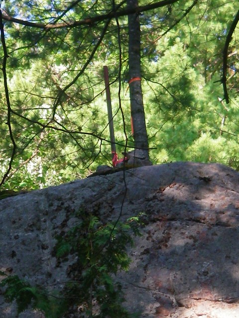 IMGP3585.JPG