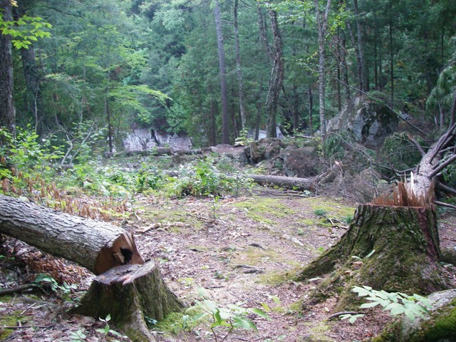 IMGP3591.JPG