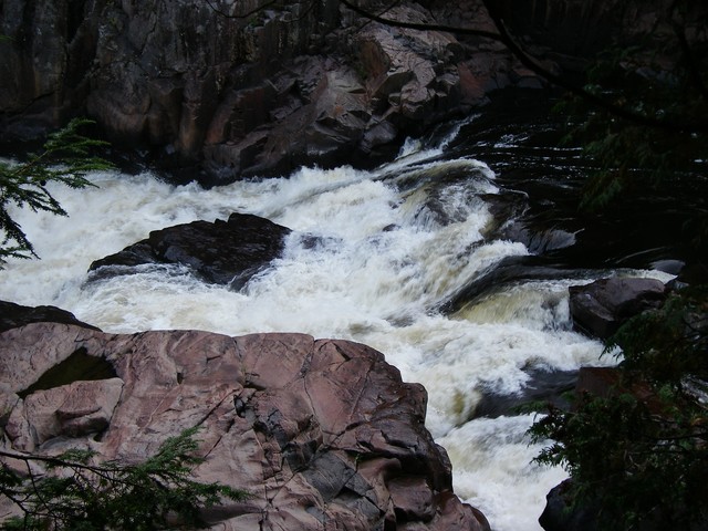 IMGP3607.JPG