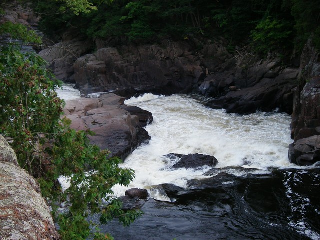 IMGP3611.JPG