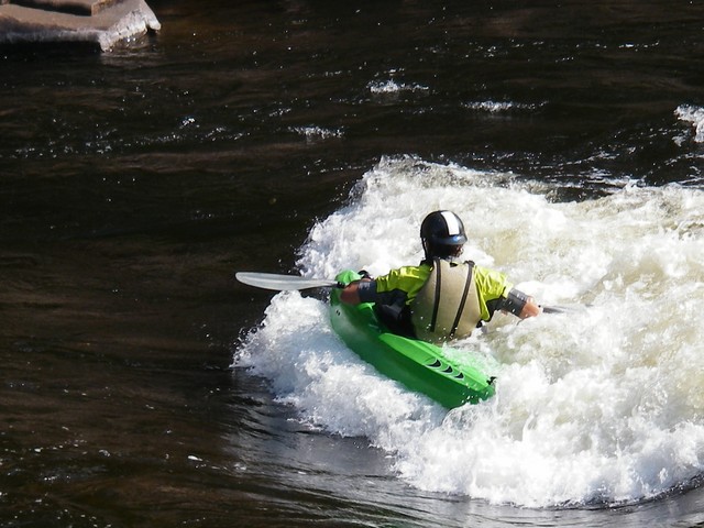 IMGP3695.JPG