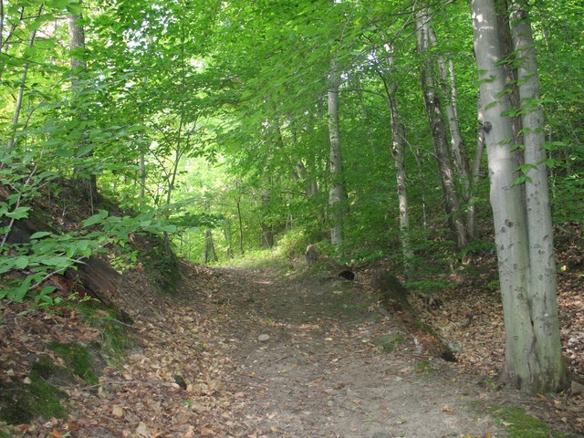 IMG_0723.JPG