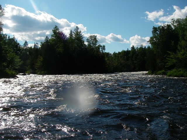 IMGP2706.JPG