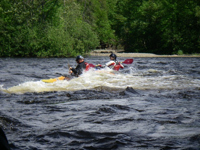 IMGP0226.JPG