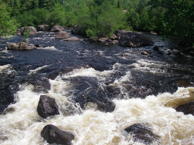 IMGP2154.JPG