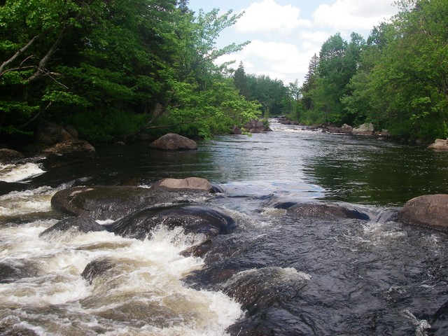 IMGP2165.JPG