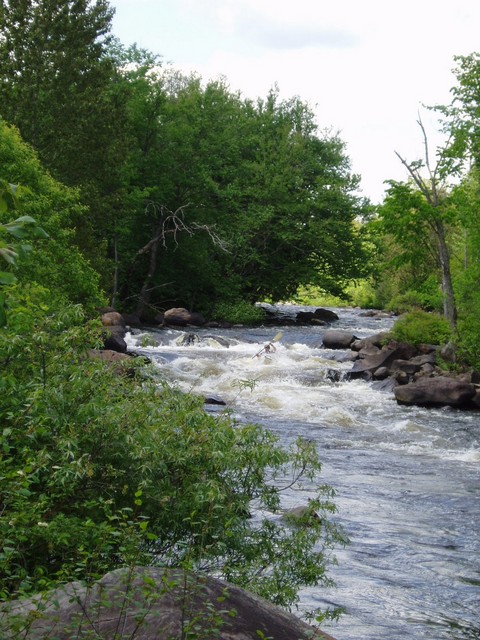 P6100046.JPG