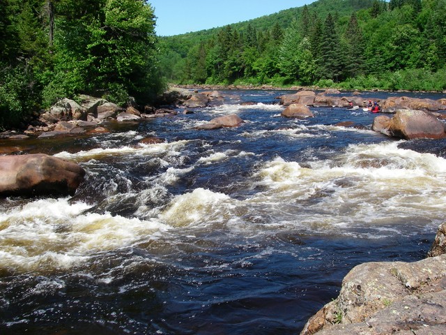 IMGP2240.JPG