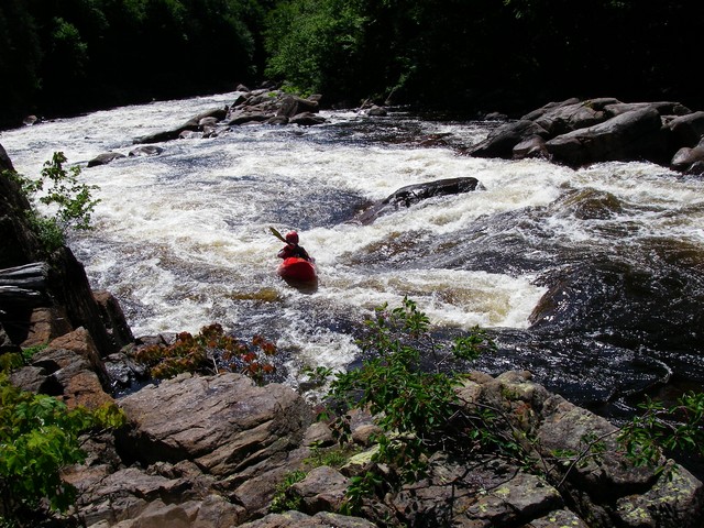 IMGP2241.JPG