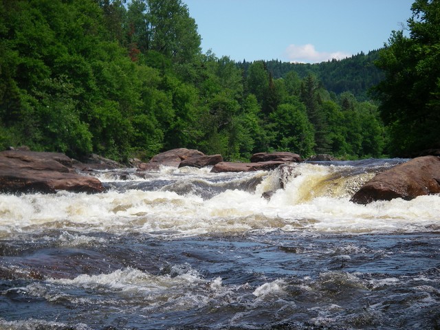 IMGP2258.JPG
