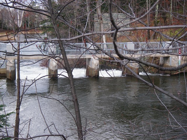 IMGP3943.JPG