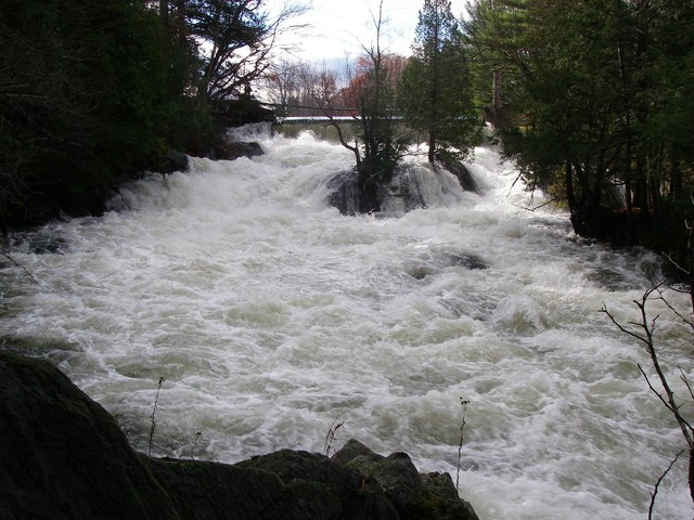 IMGP3950.JPG