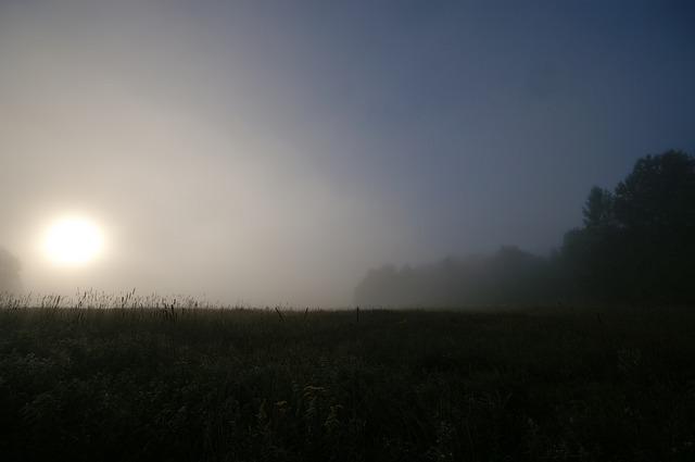 PICT1319.jpg