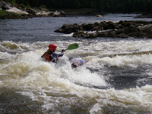 IMGP1220.JPG