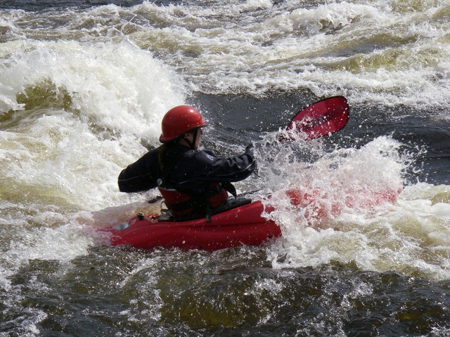 IMGP1229.JPG