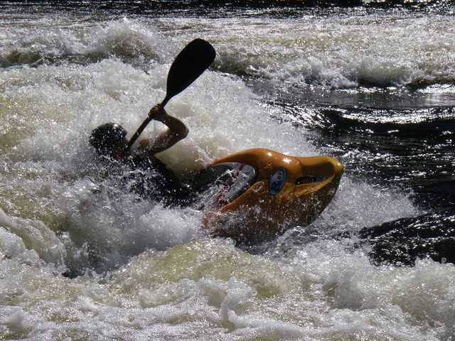 IMGP1310.JPG