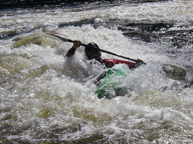 IMGP1350.JPG
