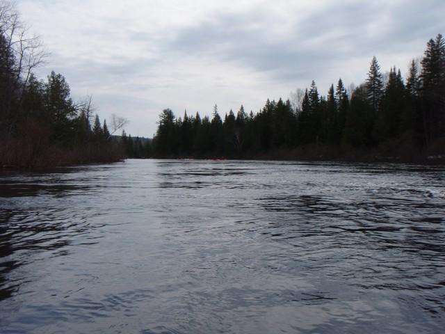 P4260214.JPG