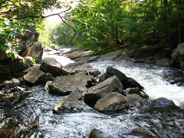 20080830_Beaver_Moesh_003.JPG