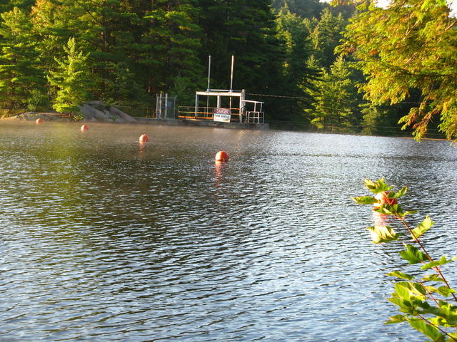 20080901_Beaver_Taylorville_003.JPG