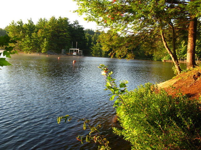 20080901_Beaver_Taylorville_004.JPG