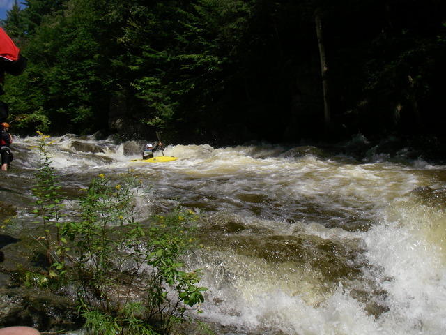 IMGP3897.JPG