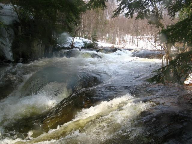 20080420_Bonniebrook_006.JPG