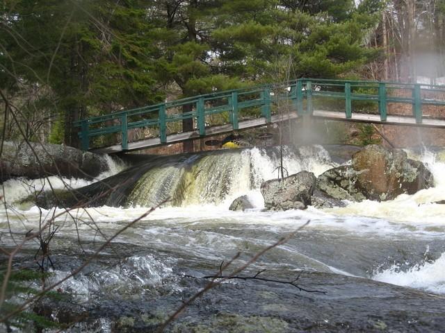 20080420_Bonniebrook_012.JPG