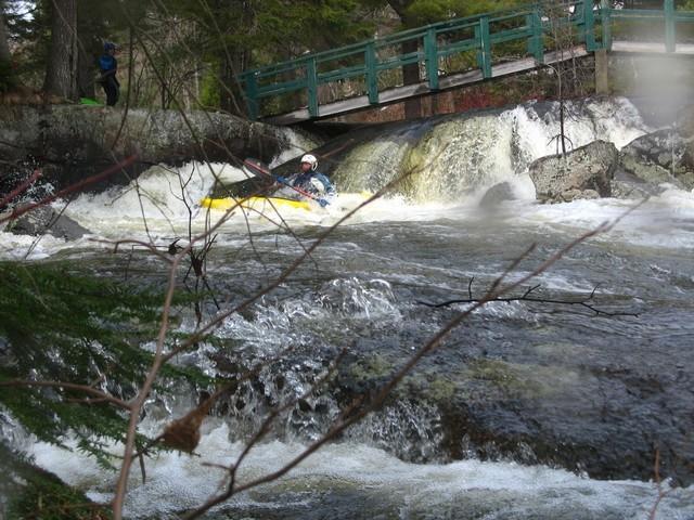 20080420_Bonniebrook_019.JPG