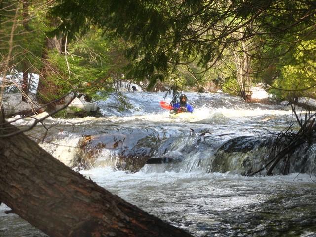 20080420_Bonniebrook_035.JPG