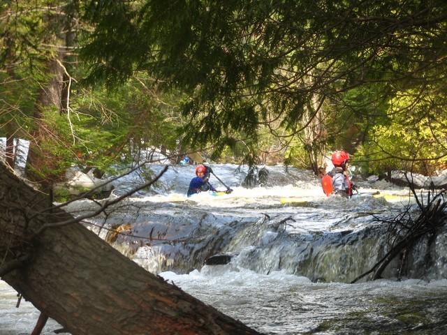 20080420_Bonniebrook_036.JPG