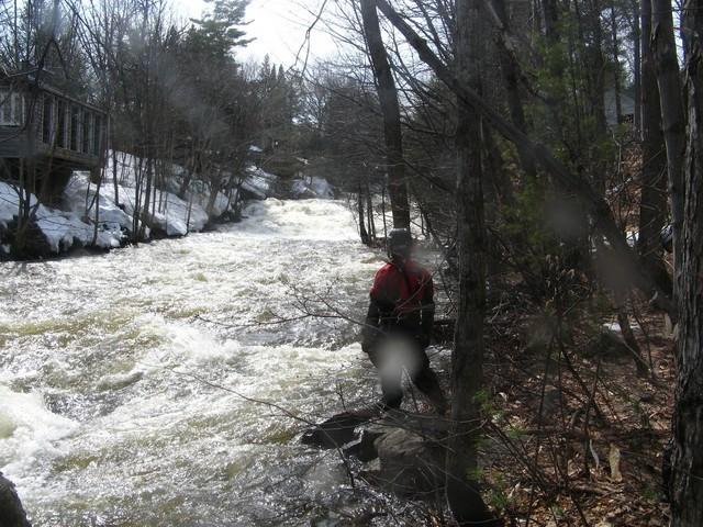 20080420_Bonniebrook_061.JPG