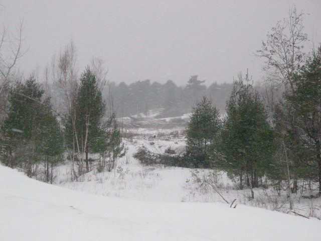 20071227_Coupe-a-Blanc_006.JPG