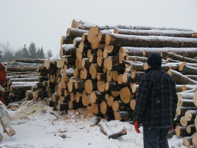 20071227_Coupe-a-Blanc_017.JPG