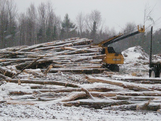 20071227_Coupe-a-Blanc_019.JPG