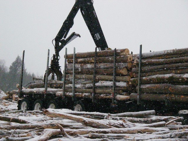 20071227_Coupe-a-Blanc_022.JPG