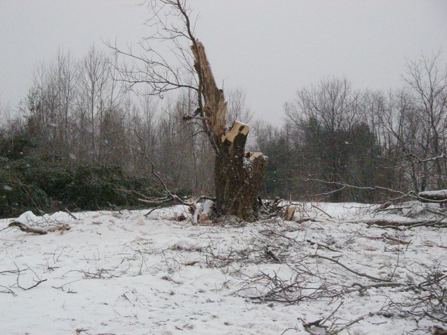 20071227_Coupe-a-Blanc_025.JPG