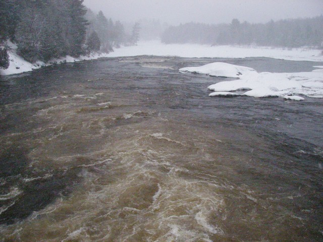 20071227_Coupe-a-Blanc_046.JPG