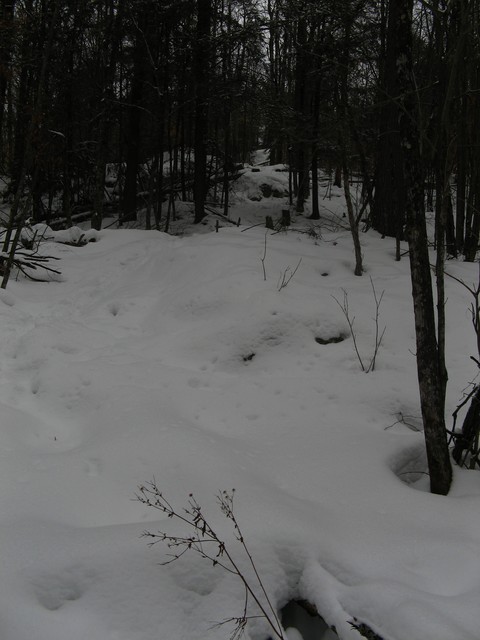 20080119__RivRouge_010.JPG