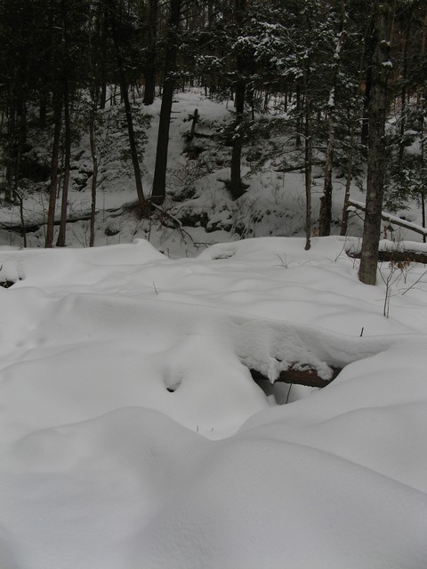 20080119__RivRouge_023.JPG