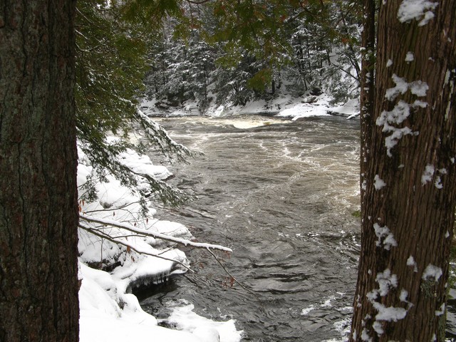 20080119__RivRouge_025.JPG
