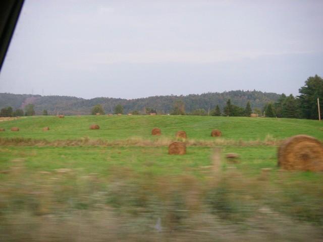 IMGP9841.JPG