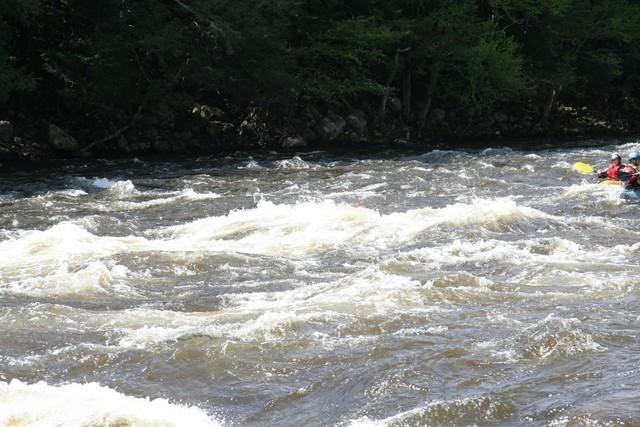20080525_CoursRivierGr1__074.JPG