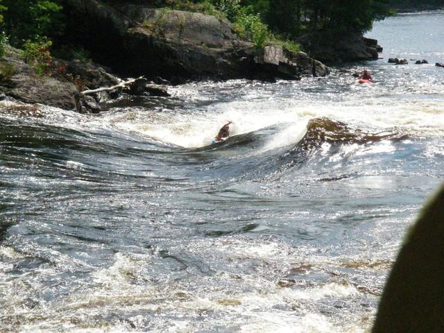 IMGP9469.JPG