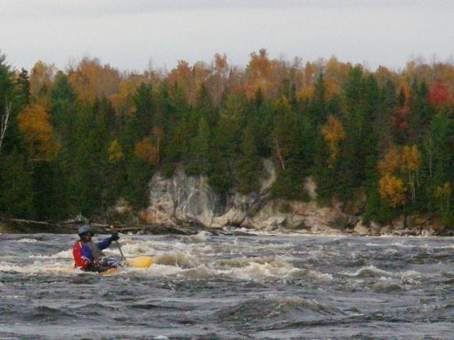 IMGP0050.JPG