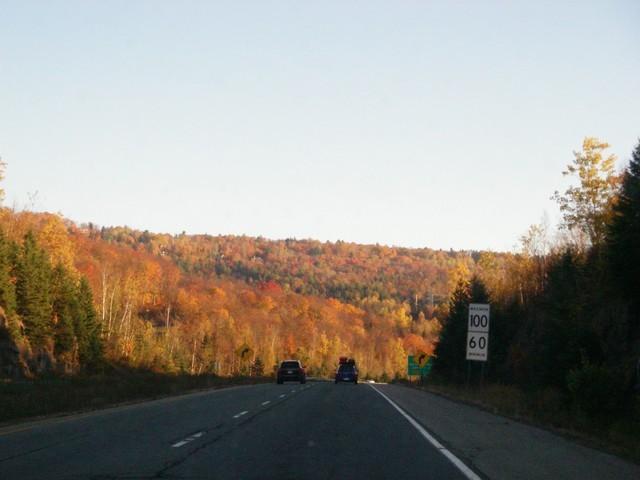 IMGP9923.JPG