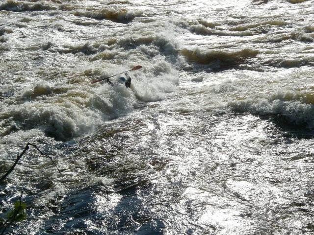 IMGP9956.JPG