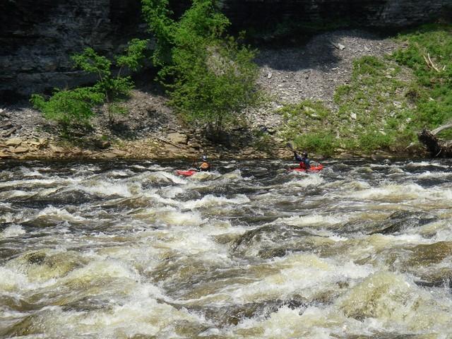 IMGP2724.JPG